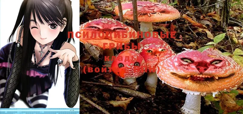 Псилоцибиновые грибы Magic Shrooms  Буинск 